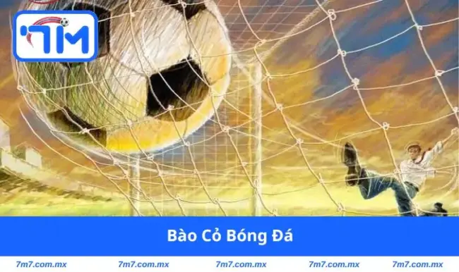 bào cỏ bóng đá