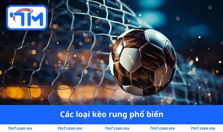 Các loại kèo rung phổ biến