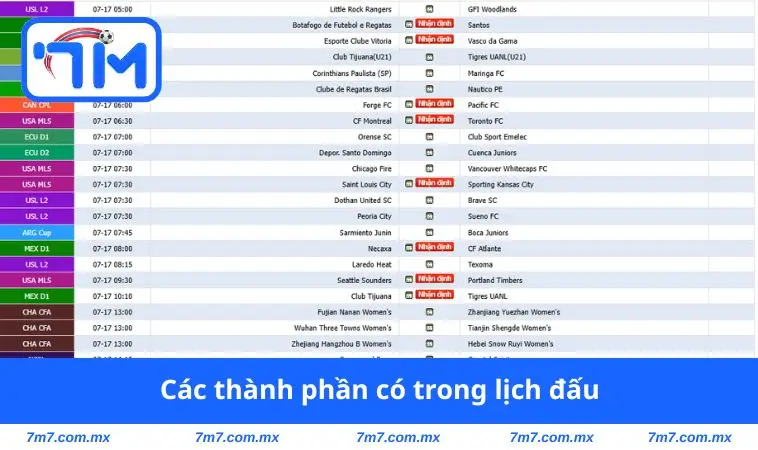 Các thành phần có trong lịch đấu