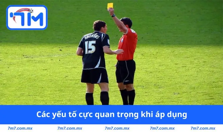 Các yếu tố cực quan trọng khi áp dụng