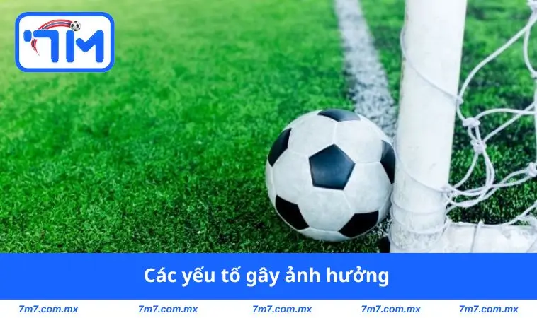 Các yếu tố gây ảnh hưởng 
