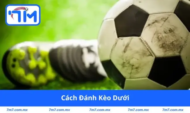 Cách đánh kèo dưới