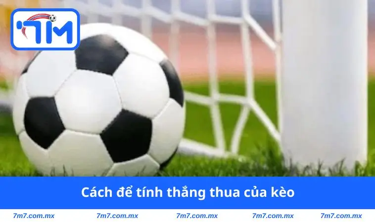 Cách để tính thắng thua của kèo