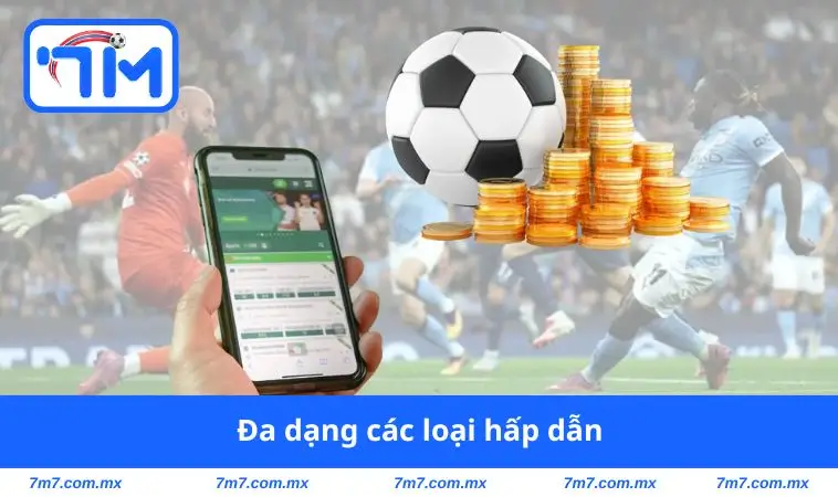 Đa dạng các loại hấp dẫn