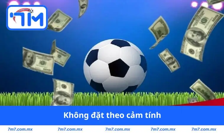Không đặt theo cảm tính
