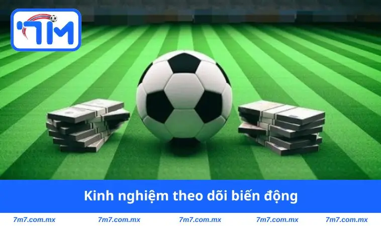 Kinh nghiệm theo dõi biến động