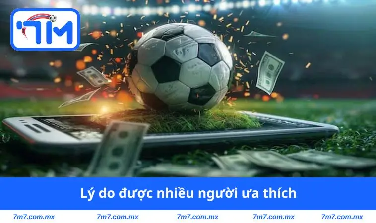 Lý do được nhiều người thích