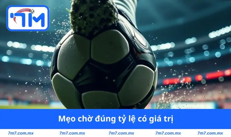 Mẹo chờ đúng tỷ lệ có giá trị