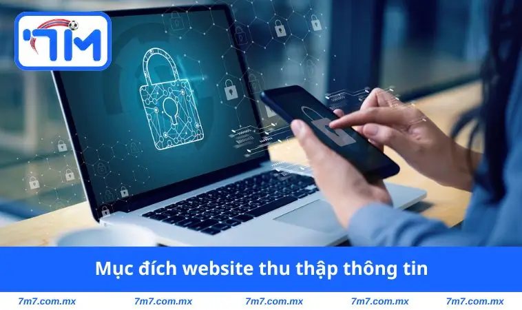 Mục đích trang web thu thập thông tin