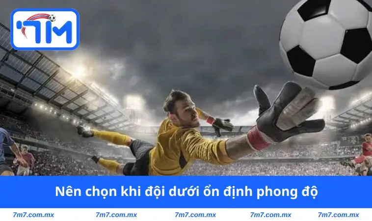 Nên chọn khi đội dưới ổn định phong độ
