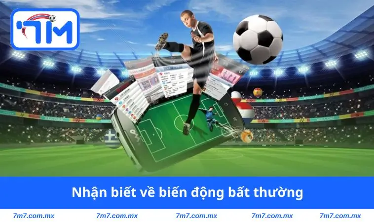 Nhận biết về biến động bất thường
