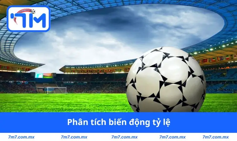 Phân tích biến động tỷ lệ