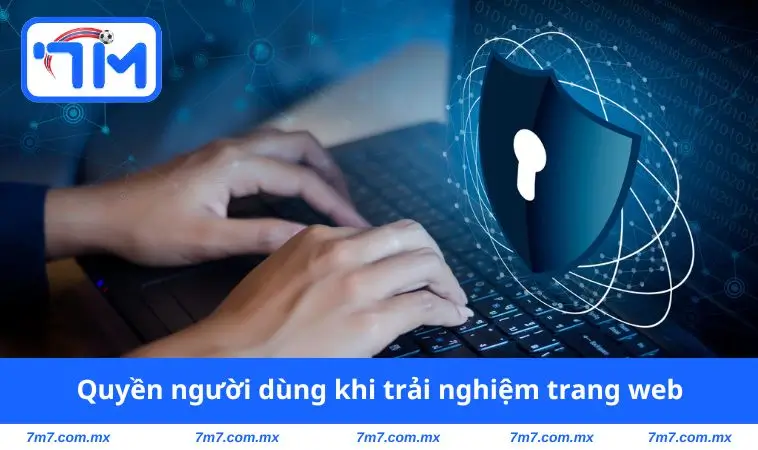 Quyền người dùng khi trải nghiệm trang web