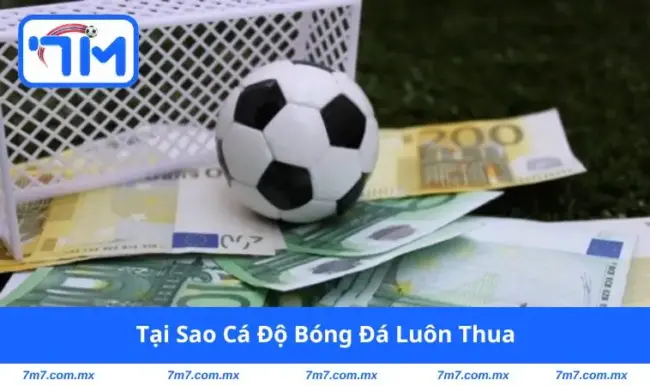 Tại sao cá độ bóng đá luôn thua