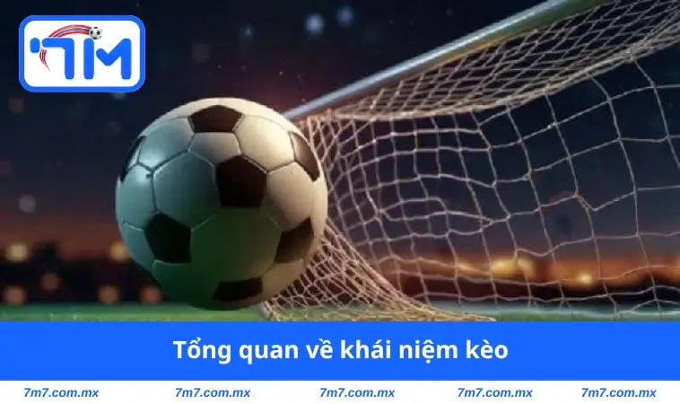 tong quan ve khai niem keo Tổng quan về khái niệm kèo
