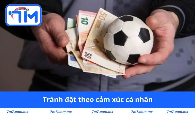 tranh dat theo cam xuc ca nhan Tránh đặt theo cảm xúc cá nhân