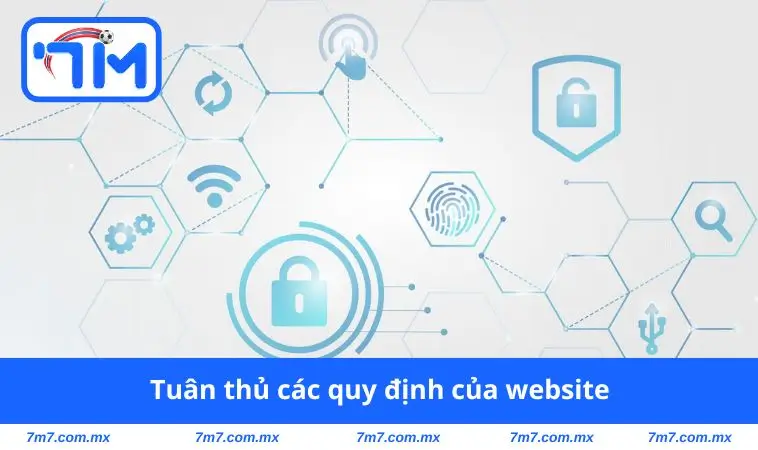 Tuân thủ quy định của website